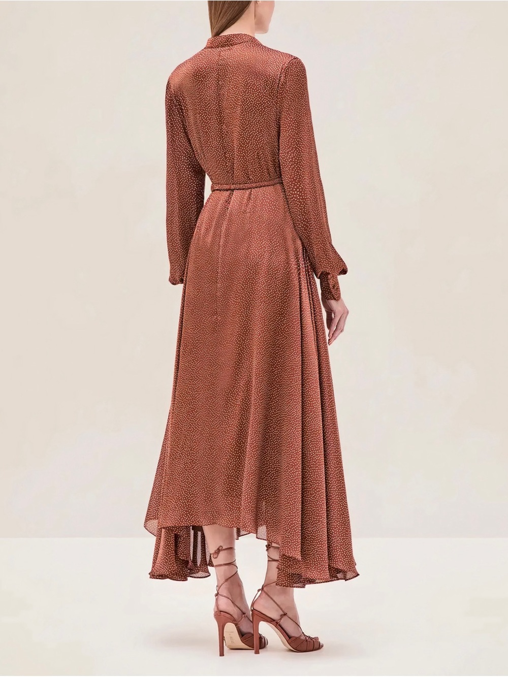 NWT ALEXIS Maxi Long-Sleeve Brown Polka-Dot Monico Dress - Picture 4 of 6